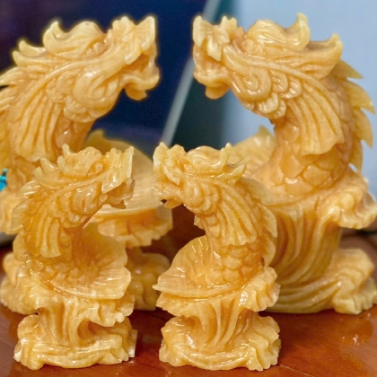 Cá chép hóa Rồng ngọc hoàng long