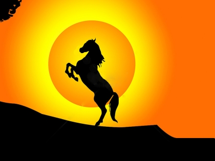 Phong thủy năm Bính Ngọ 2026