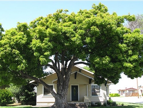 Những vị trí có phong thủy tốt nên ưu tiên lựa chọn khi đi mua đất