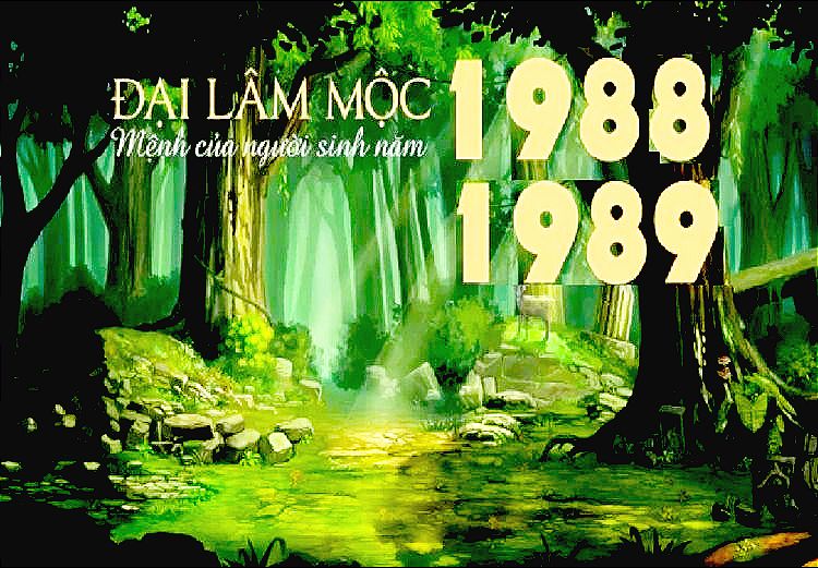 Tuổi Kỷ Tỵ giống như “rắn trong đầm gặp vận hóa rồng” sống âm thầm, linh hoạt, quan sát nhiều hơn là hành động vội vã