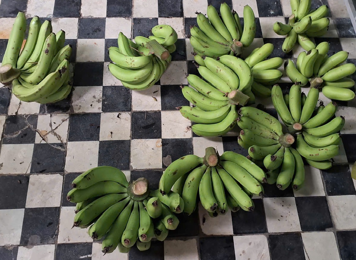 nải chuối thường là lễ vật cúng hằng năm