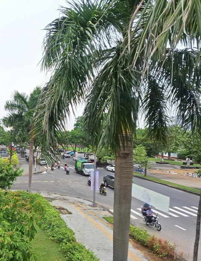 truoc-cau-sau-chuoi-la-gi