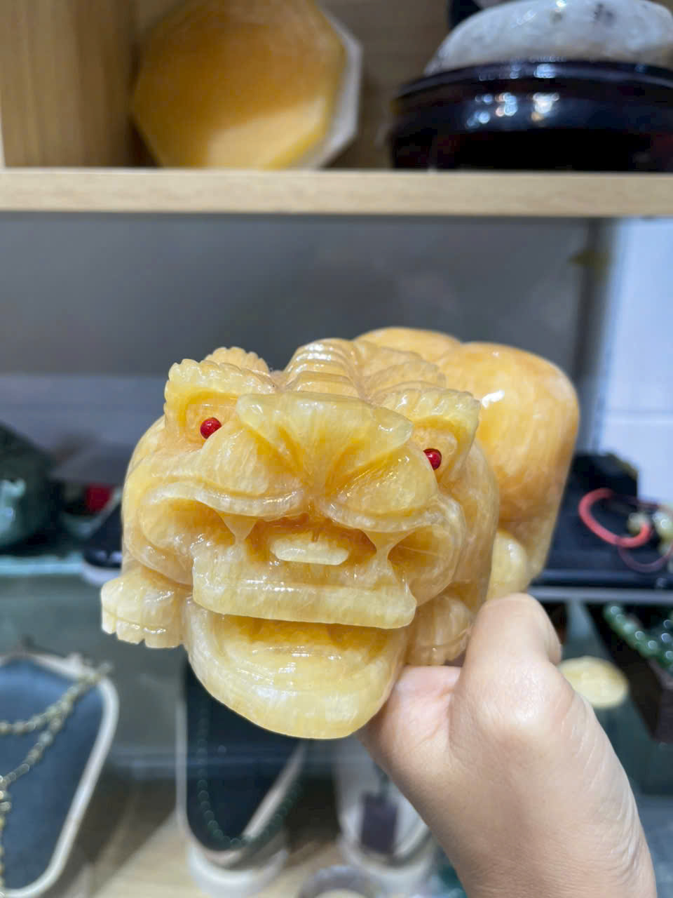 ty-huu-ngoc-hoang-long